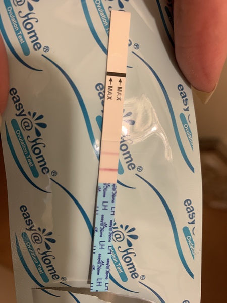 Have I ovulated?