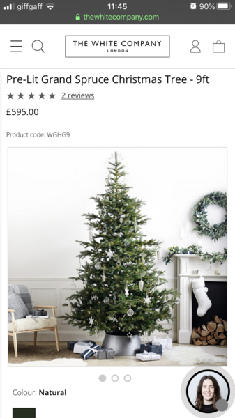 Real tree Vs artificial tree? Is it a status symbol?