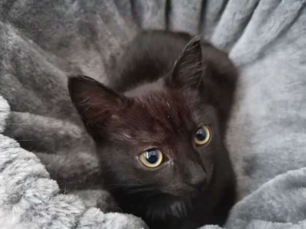 I need a name!