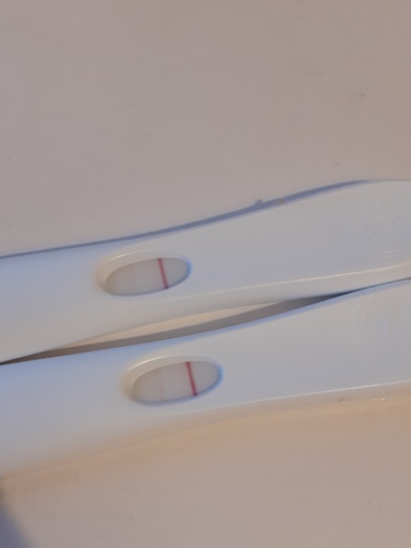 BFP - due August 2021