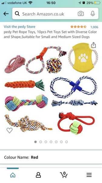 Puppy survival thread October/November!