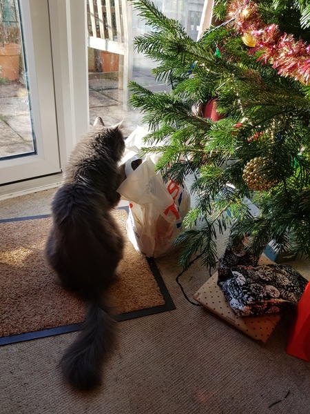 Christmas Wishes from Leo