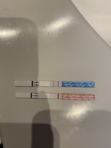 Near to ovulation or just left over miscarriage ??!