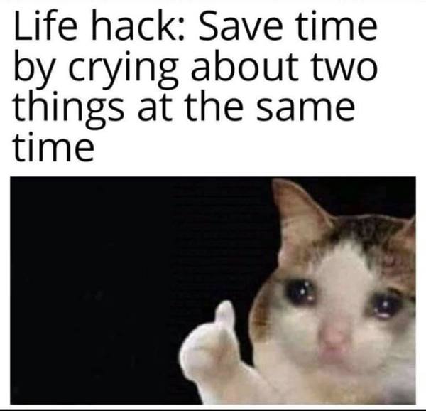 Westminstenders: Off he pops to Brussels