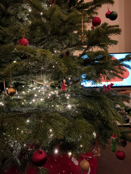 Can you trim a Christmas tree??