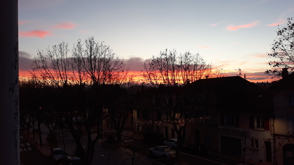 Westministenders: Festive Edition