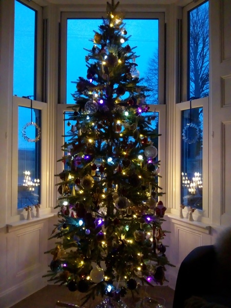 Get your trees out!!!!!