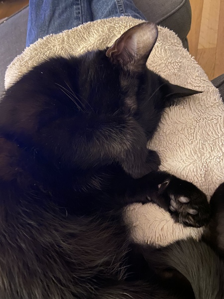 Late night toe-bean chat