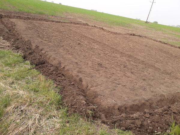 Allotment/Veg Patch Thread 16  Weather weirdness prevails !