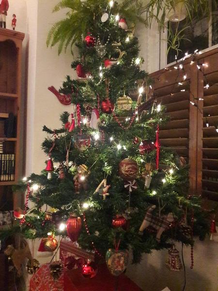 Get your trees out!!!!!