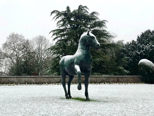 Oxford and Cambridge current students discussion thread