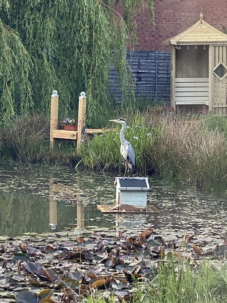 NOT what I expected to wake up to this morning...