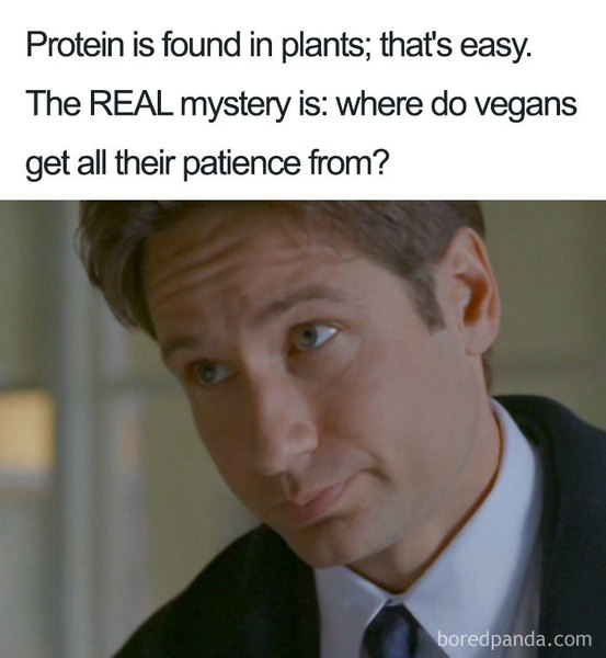 Vegans visiting restaurants