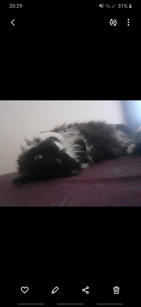 Bunburying into Autumn (Bunbury 6)