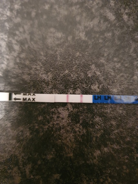 Ovulation test positive or negative?