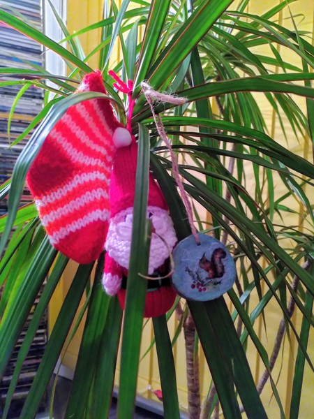 Thread for really fucking ugly houseplants