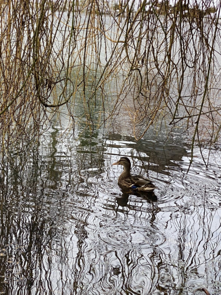 NOT what I expected to wake up to this morning...