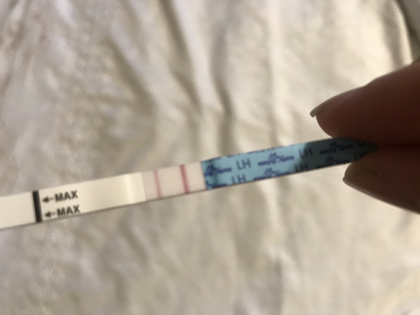 Clear Blue Advanced Digital OPK...surely this can’t be right?