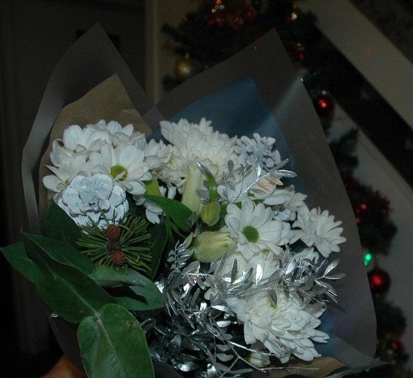 A lovely Christmas surprise!