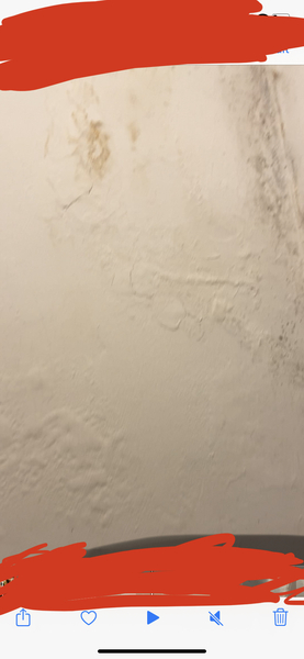 Aspestos in cellar?