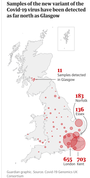 Location of the new strain