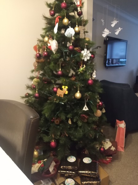 Festive Fledglings Flap Frantically Towards A Calm, Clutter-free Christmas!