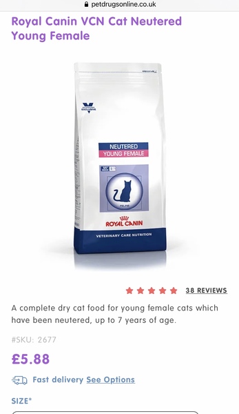 6month kittens won't eat !