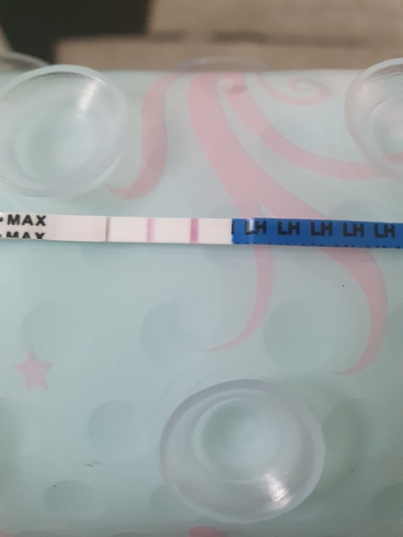 Trying to conceive after a mmc