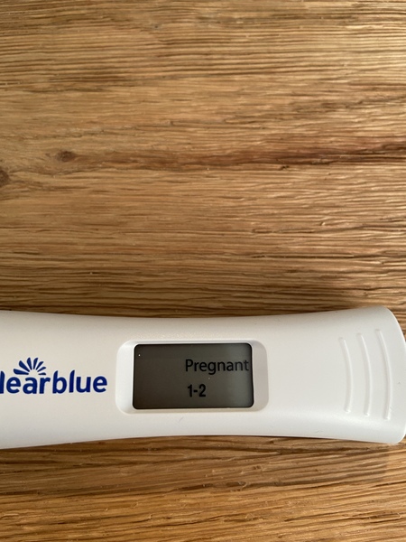 Support thread for women who are pregnant or TTC following a termination for abnormalities. Thread 7