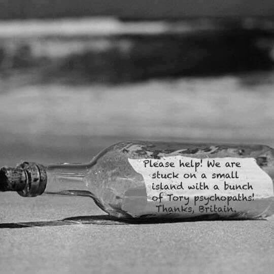 Westministenders: A Turkey for Christmas?