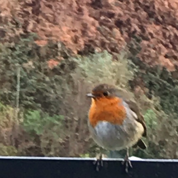 I was followed on my walk today