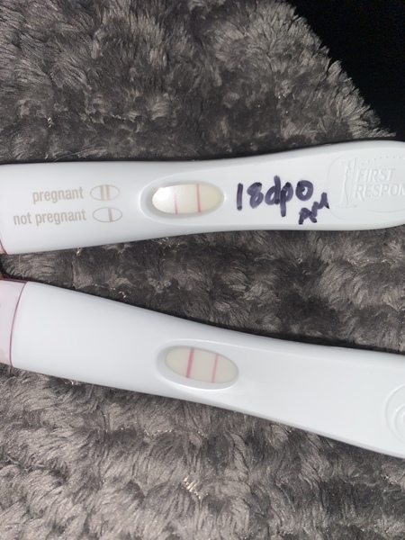 BFP - due August 2021