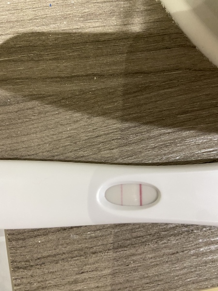 Support thread for women who are pregnant or TTC following a termination for abnormalities. Thread 7