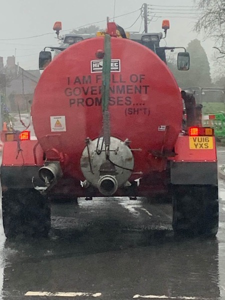 Westministenders: A Turkey for Christmas?