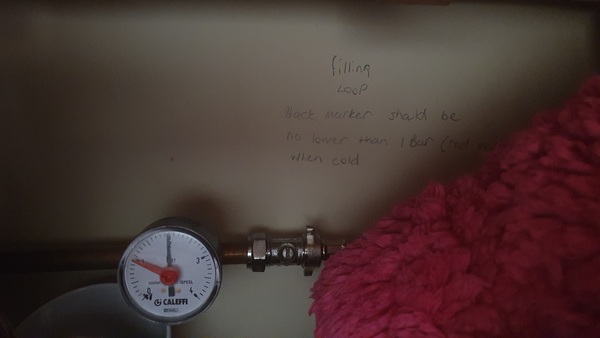 Please help me solve mysterious tapping noise in wall!