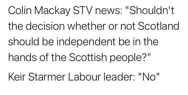 Westministenders: A Turkey for Christmas?