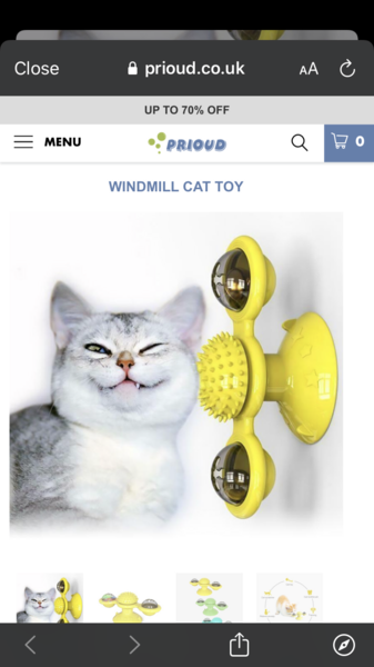 Cat christmas presents