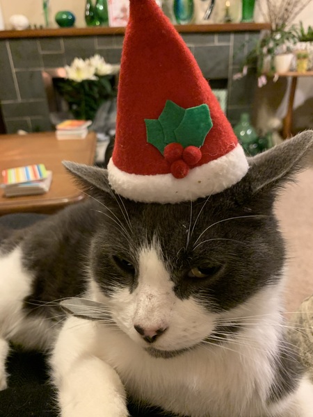 Xmas photo time