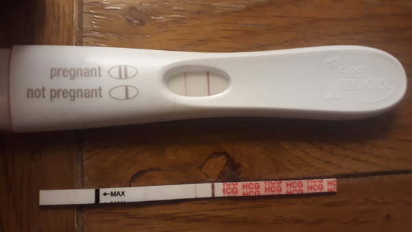 Can i see progression pregnancy tests x