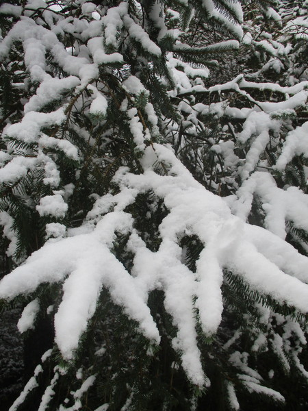 Any Witches here? Part 13