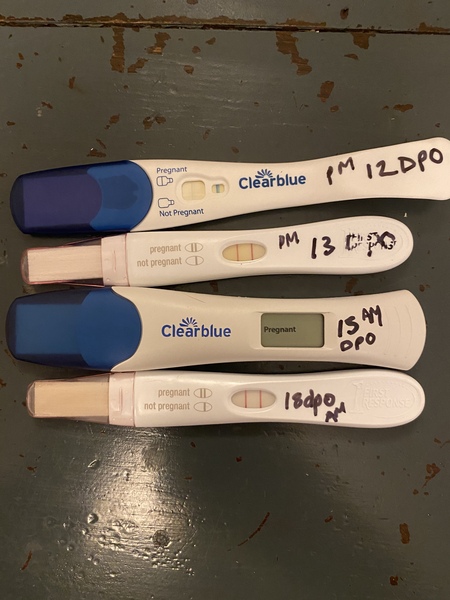 BFP - due August 2021