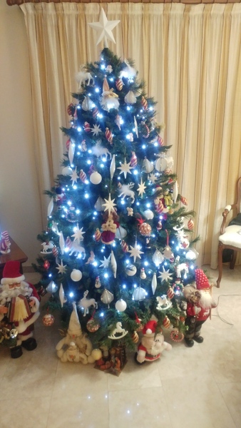 Get your trees out!!!!!