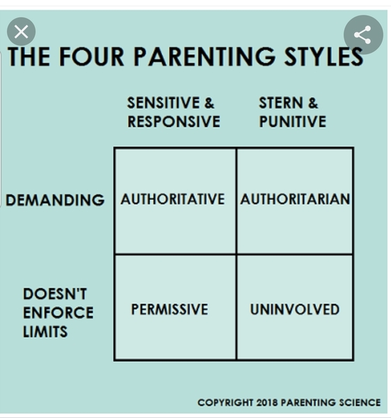 To wonder how the hell to raise well behaved children