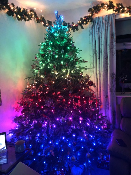 Coloured lights next year???