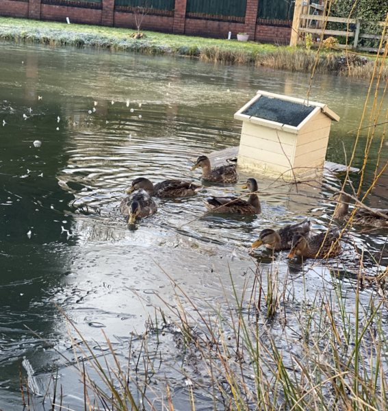 NOT what I expected to wake up to this morning...