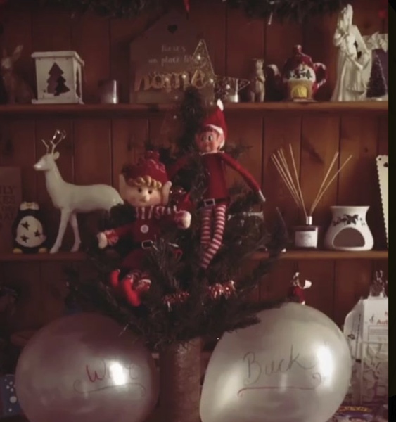 Festive Fledglings Flap Frantically Towards A Calm, Clutter-free Christmas!