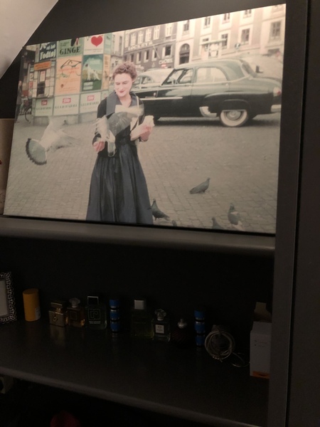 Could we have a thread where we post pics of things in our homes we love?