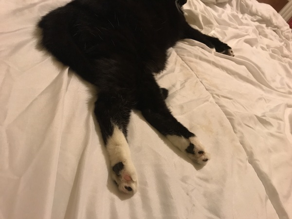 I can’t change the duvet cover can I?