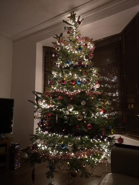 Coloured lights next year???