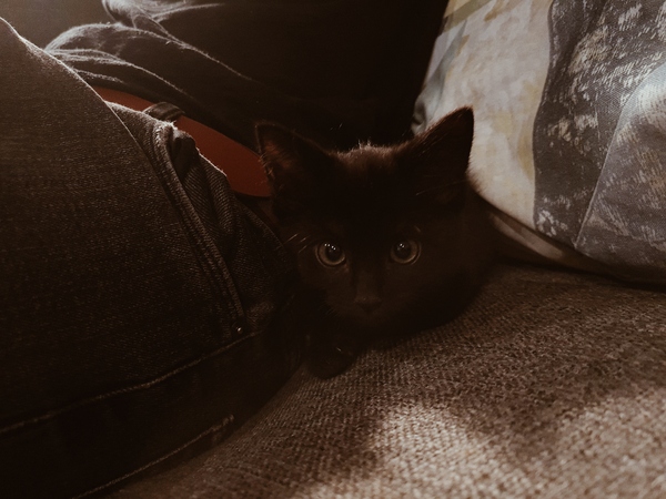 So I found something in my shed this morning...